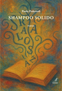 Immagine copertina libro Shampoo solido