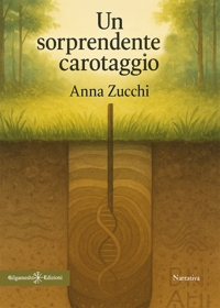 Immagine copertina libro Un sorprendente carotaggio
