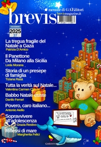 Immagine copertina libro Brevis (2025). Vol. 37