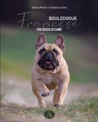 Immagine copertina libro Bouledogue francese. Che razza di cane!