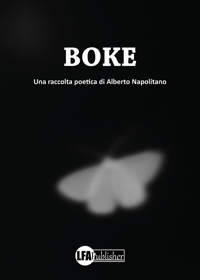 Immagine copertina libro Boke