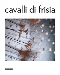 Immagine copertina libro Cavalli di Frisia