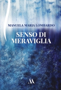 Immagine copertina libro Senso di meraviglia