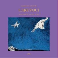 Immagine copertina libro Care voci. Architettura natura museo