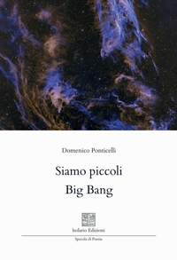 Immagine copertina libro Siamo piccoli Big Bang