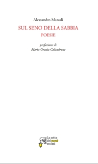 Immagine copertina libro Sul seno della sabbia