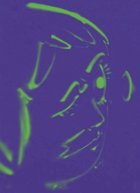 Immagine copertina libro Hoda Kashiha: slipping on fragmented shapes. Ediz. inglese e francese