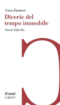Immagine copertina libro Dicerie del tempo immobile