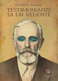 Immagine copertina libro Testimonianza di un vedente. Ediz. a colori
