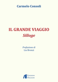 Immagine copertina libro Il grande viaggio