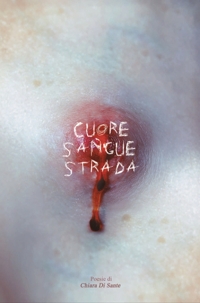 Immagine copertina libro Cuore sangue strada