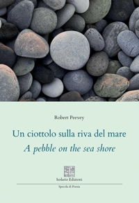 Immagine copertina libro Un ciottolo sulla riva del mare. A pebble on the sea shore. Ediz. multilingue
