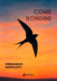 Immagine copertina libro Come rondini