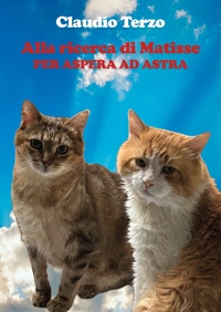 Immagine copertina libro Alla ricerca di Matisse. Per aspera ad astra