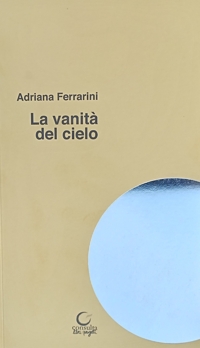 Immagine copertina libro La vanità del cielo. La scuola i bambini l'arte la bellezza