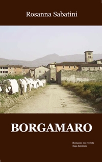 Immagine copertina libro Borgamaro
