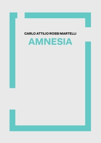 Immagine copertina libro Amnesia
