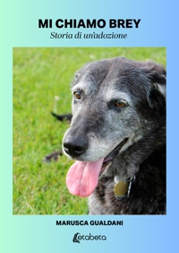 Immagine copertina libro Mi chiamo Brey. Storia di un’adozione