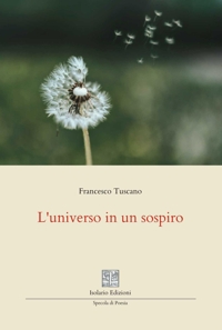 Immagine copertina libro L'universo in un sospiro
