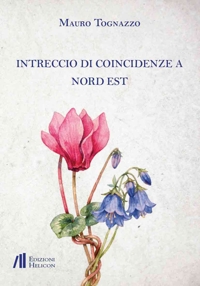 Immagine copertina libro Intreccio di coincidenze a nord est