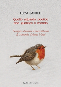 Immagine copertina libro Quello sguardo poetico che guarisce il mondo. Navigare attraverso il mare letterario di Antonella Colonna Vilasi