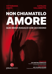 Immagine copertina libro Non chiamatelo amore. Quei bravi ragazzi che uccidono