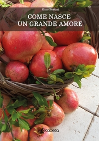 Immagine copertina libro Come nasce un grande amore