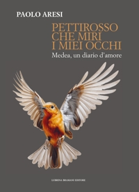 Immagine copertina libro Pettirosso che miri i miei occhi. Medea, un diario d’amore