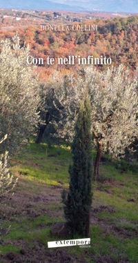 Immagine copertina libro Con te nell'infinito