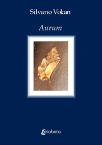 Immagine copertina libro Aurum