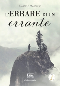 Immagine copertina libro L'errare di un errante