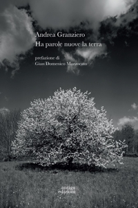 Immagine copertina libro Ha parole nuove la terra
