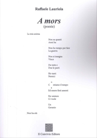Immagine copertina libro A mors