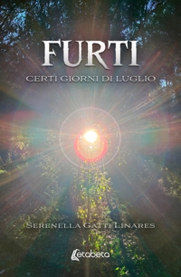 Immagine copertina libro Furti. Certi giorni di luglio