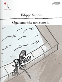 Immagine copertina libro Qualcuno che non sono io