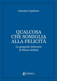 Immagine copertina libro Qualcosa che somiglia alla felicità. Le geografie letterarie di Mario Soldati