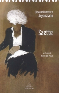 Immagine copertina libro Saette