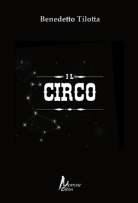 Immagine copertina libro Il circo