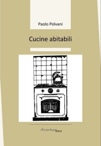 Immagine copertina libro Cucine abitabili