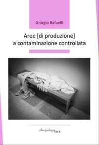 Immagine copertina libro Aree (di produzione) a contaminazione controllata