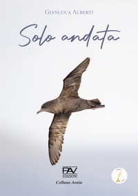 Immagine copertina libro Solo andata