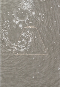 Immagine copertina libro Julia Carrillo. Sole pioggia vento. Ediz. illustrata