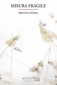 Immagine copertina libro Misura fragile