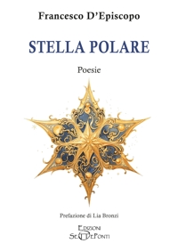 Immagine copertina libro Stella polare