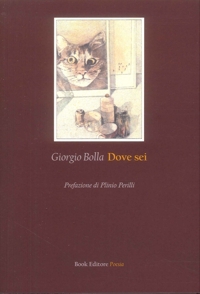 Immagine copertina libro Dove sei