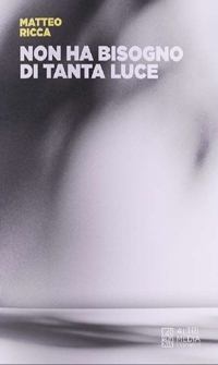 Immagine copertina libro Non ha bisogno di tanta luce