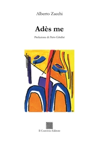 Immagine copertina libro Adès me