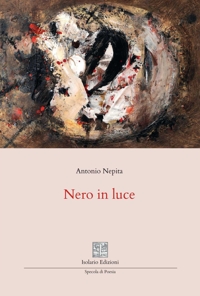 Immagine copertina libro Nero in luce