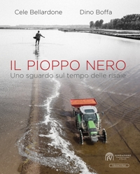 Immagine copertina libro Il pioppo nero. Uno sguardo sul tempo delle risaie
