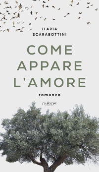 Immagine copertina libro Come appare l'amore